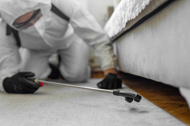 Professional Pest Control technician working in North Bellport, NY