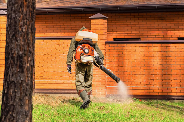 Trusted Termite Control service in North Bellport, NY - Nex Pest Control